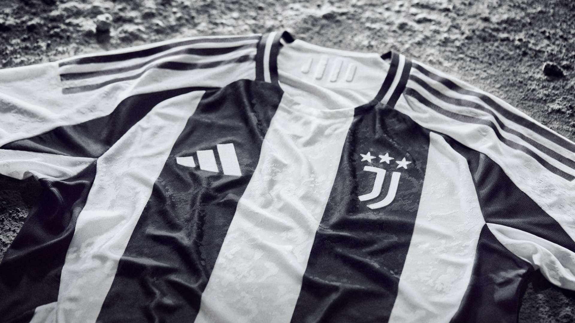 天津权健将 天津权健将