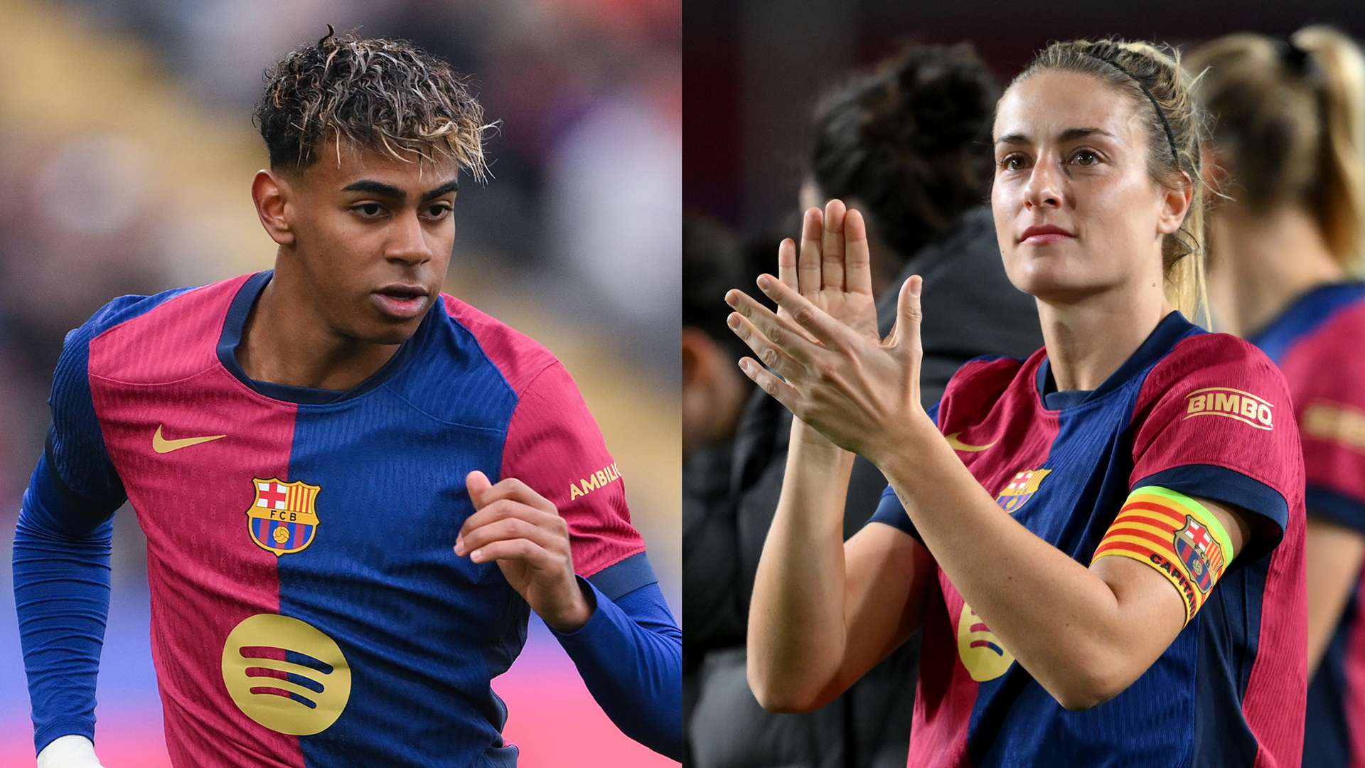 无疑是他所 无疑是他所